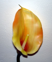 Artificial Calla Lily - 74cm, Peach, Large Head