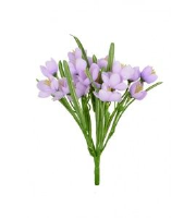 Crocus Bush - 28cm, Lilac