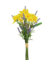 Narcissus/Lavender Bundle - 32cm, Light Yellow