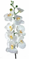 Artificial Phalaenopsis Orchid (Real Touch) - 108cm, Pink