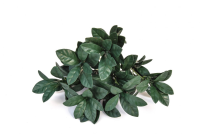 Artificial Green Wall System - Pothos UV/IFR - 25cm, Green