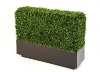 Artificial Boxwood Hedge in Fibreglass Trough - 1m x 20cm x 20cm trough, with a 75cm high Hedge
