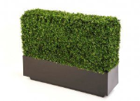 Artificial Boxwood Hedge in Fibreglass Trough - 1m x 20cm x 20cm trough, with a 1m high Hedge