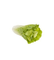 Artificial Chinese Cabbage Natural Touch - 19cm, Green