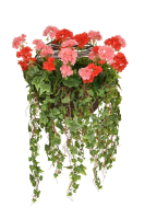 Artificial Silk Geranium & Ivy Wall Basket - 80cm, Pink & Red