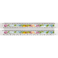 300MM ARCHITECT SCALE RULER in White.
