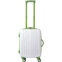 ABS TROLLEY SUITCASE in Pale Green.