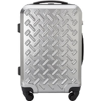 ABS TROLLEY SUITCASE in Silver.