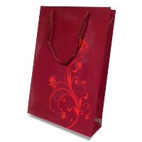 LUXURY PAPER CARRIER BAG - SMALL - GLOSS 195GSM ARTBOARD with Gloss Laminate, Short Pp Rope Handles.