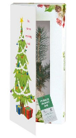 REAL LIVE NORWAY SPRUCE TREE in a Christmas Greeting Card.
