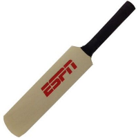 SIGNATURE CRICKET BAT.