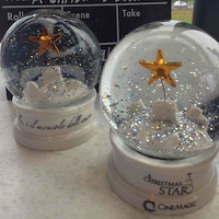 SNOW GLOBE SHAKER SHAKER.