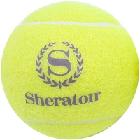 TENNIS BALL with Logo Print.