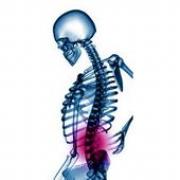 Manual Handling Courses