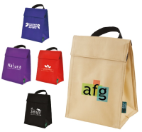 Eco-friendly Cool Bag (LE7339)