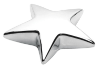 Star Paperweight (PW/21)