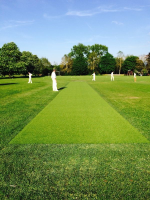 Non-Turf Cricket Match Pitches