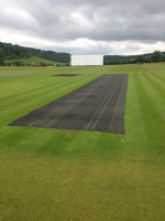 Cricket Germination Sheets In Manchester