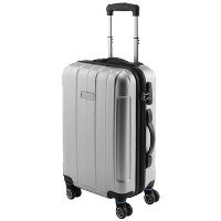 20 Inch Carry-On Spinner In Silver