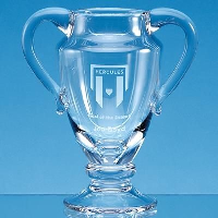 21Cm Handmade Double Handled Trophy Award Cup & Vase