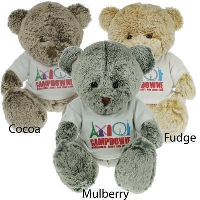 25Cm Premier Bear With Tee Shirt