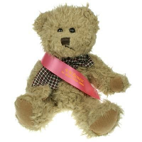 25Cm Windsor Bear With Sash