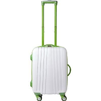 Abs Trolley Suitcase In Pale Green