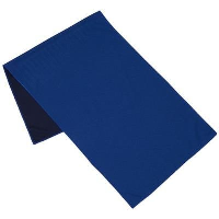 Alpha Fitness Towel In Royal Blue