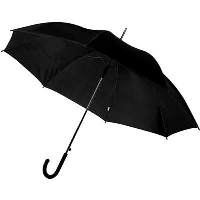 Auto Opening Umbrella In Black