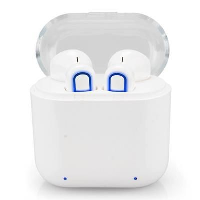 Bluetooth Plastic Headphones In Case