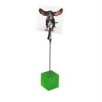 Clip Photo Memo Holder In Clear Transparent Green