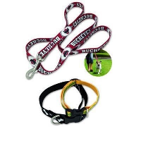 Dog Lead Or Collar