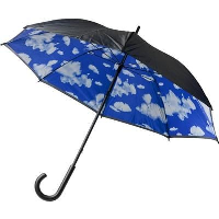 Double Canopy Umbrella In Black & Blue