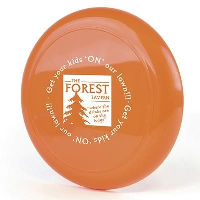 Flying Round Disc In Amber
