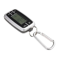 Geraldon Weather Station With Torch