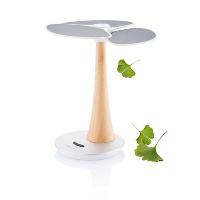 Ginkgo Solar Tree In White