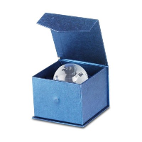 Glass Globe Paperweight
