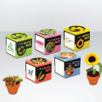 Green & Good Tiny Terracotta Desk Cube Plant