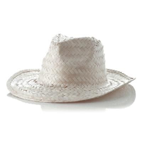 Hat Palviz