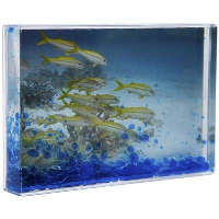 Liquid Display Cube Block