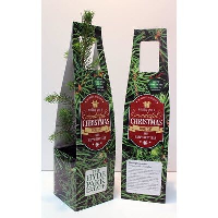 Live Christmas Tree In Plant Carrier