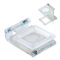 Magnifier Biologic 8X