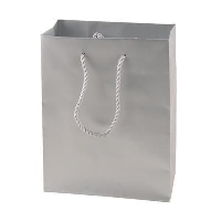 Matt Laminated Paper Bag