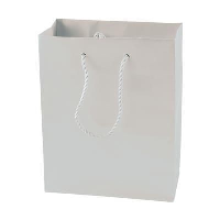 Matt Laminated Paper Bag