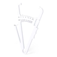Measurer Lizzos