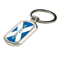 Oval Alloy Injection Keyring