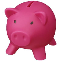 Piggy Bank In Pink