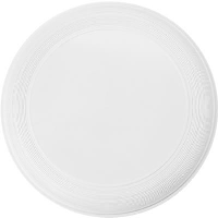 Plastic Frisbee In White