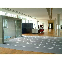 Printed Large Scale Carpet Mat