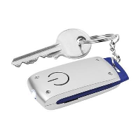 Radius Keyring In Blue